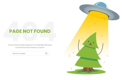 Custom 404 page