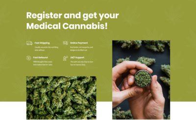 Medical marijuana info boxes